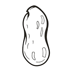 elpeanut