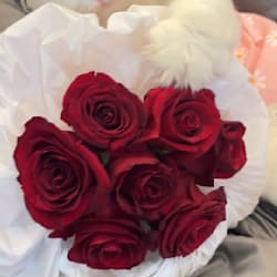 noor_sheikh123