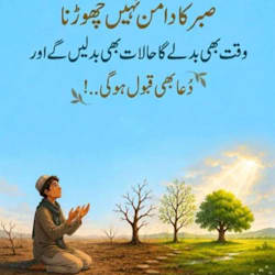 qasimmanzoor537