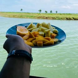 kaatoda__