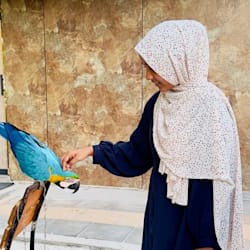 aamina_1607