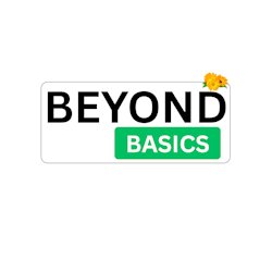 beyonddbasics