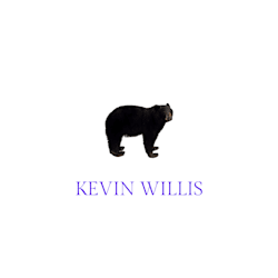 kevin_d_willis