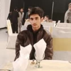 shayan258659