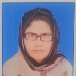 najafihsan