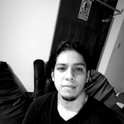brandonmieses