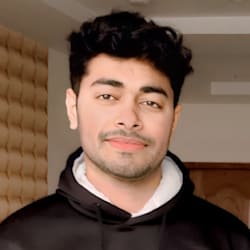 vectorking55