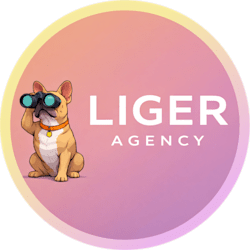 liger_agency_ux