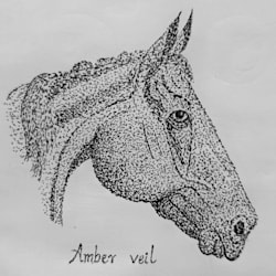 amberveil_09