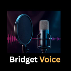 bridgetvoiced