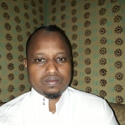 bashir_alii