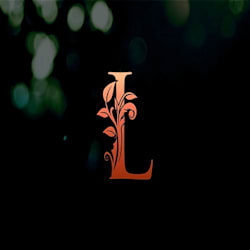 linda_surface