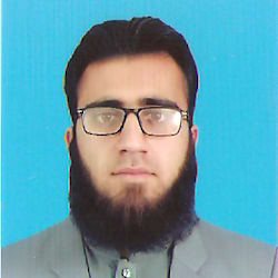 smwaleed_1994