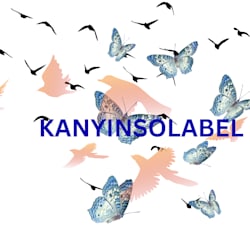 kanyinsolabel