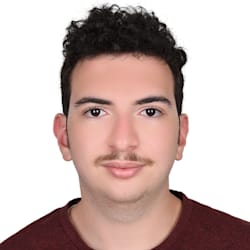 sayed_mowafi