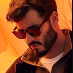 luis_vincen