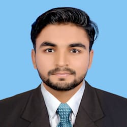 hamzawaraich2