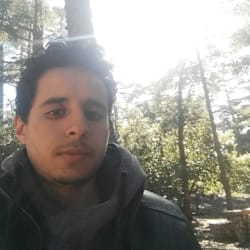 hamzaelhajjaji