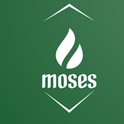 mosesey