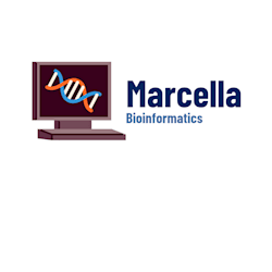 marcellabelem