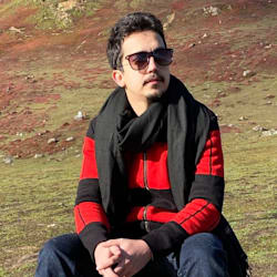 danish_adrees