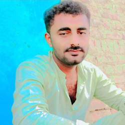 javedmajidano