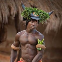 darwashs