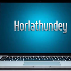 holarthundey
