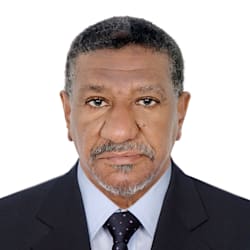 elnour61
