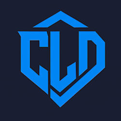 citychief13