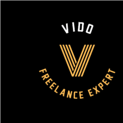 vido_ray