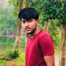 dwip_roy