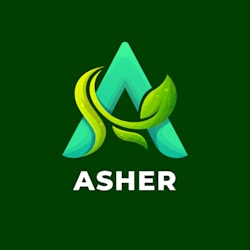 asher_jutt2