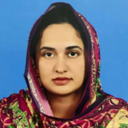zeenat_azhar