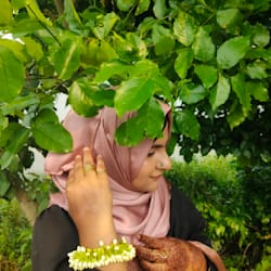 nuryea_suchi
