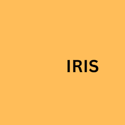irisluna481