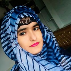 safinaanimator
