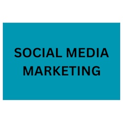 leads_business9