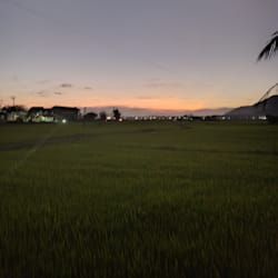 sokitran