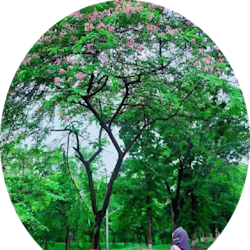 faria_swe