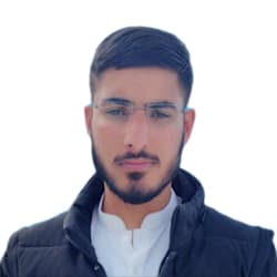 hassanzaheer516