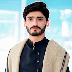shahzad_artistz