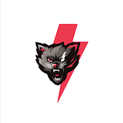 Fiverr profile picture for @thieves