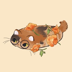 maeve_fd