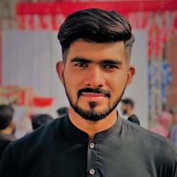 alihamza593