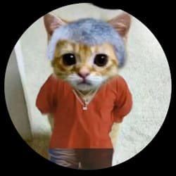 viraajmaini1