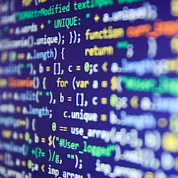 bast_dev