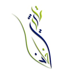 taseer_khan313
