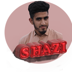 shaziidesign