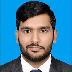 meermurtazaseo